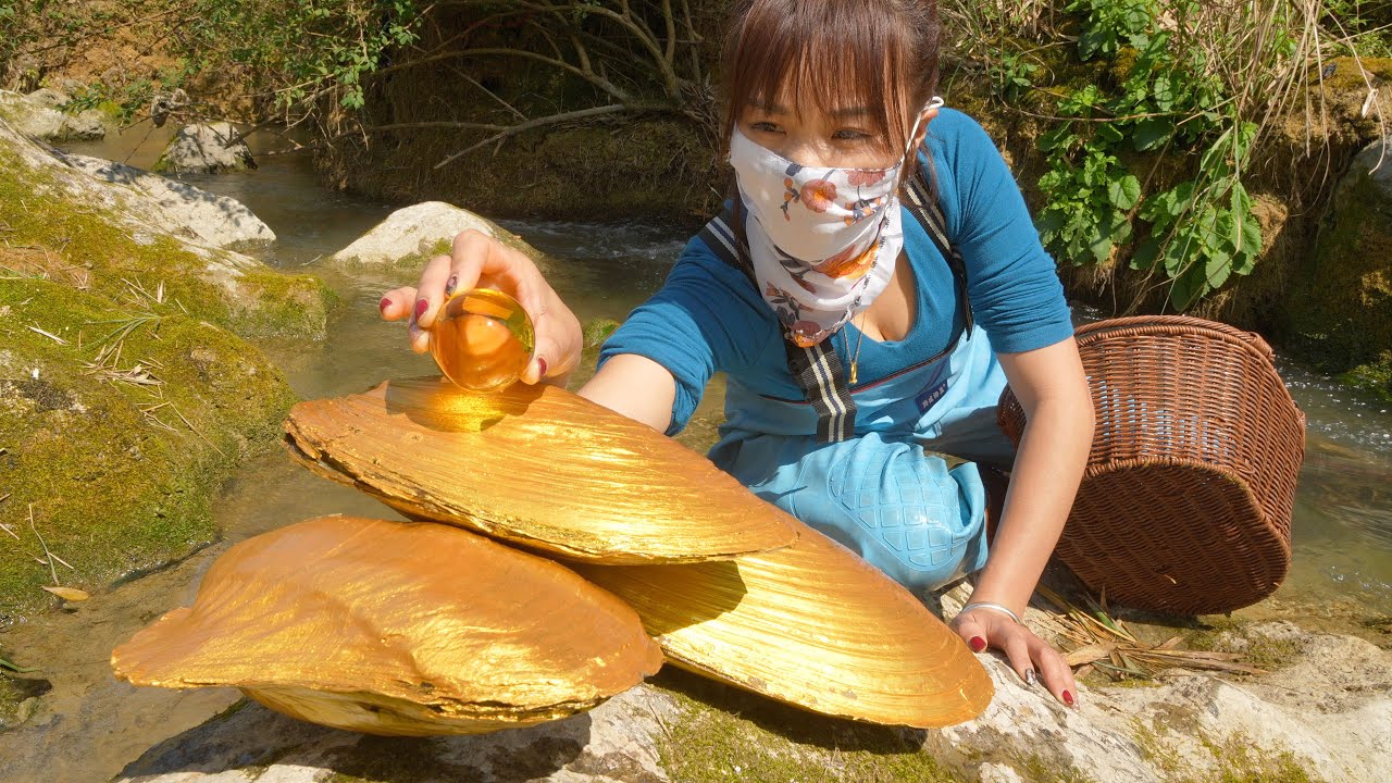 Golden giant clam! The girl picked up a mutated river clam and discovered a miracle of golden pearls