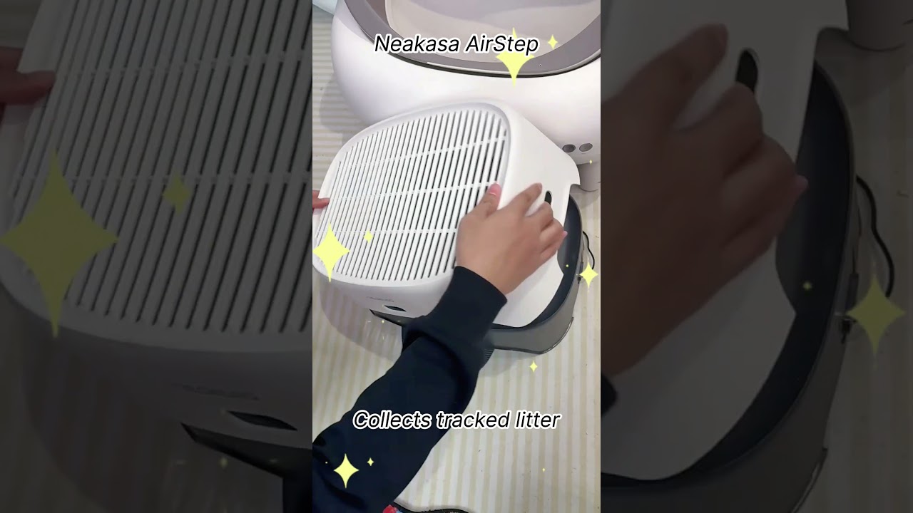 A step to help the cat reach the box, a mat to catch litter, & sprays to fight odor? Why not a combo