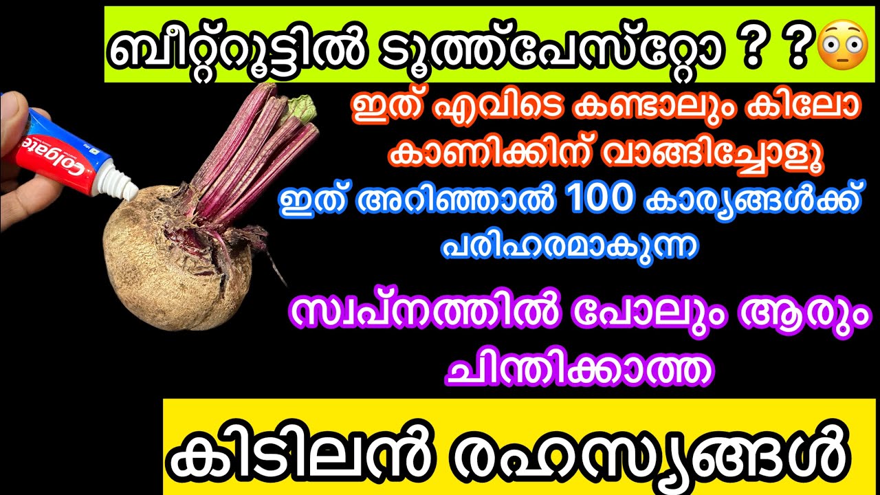 ബീറ്റ്‌റൂട്ടിൽ ടൂത്ത് പേസ്റ്റ് തേച്ചു നോക്കു 100 കാര്യങ്ങൾക്കു പരിഹാരം/KitchenHacks