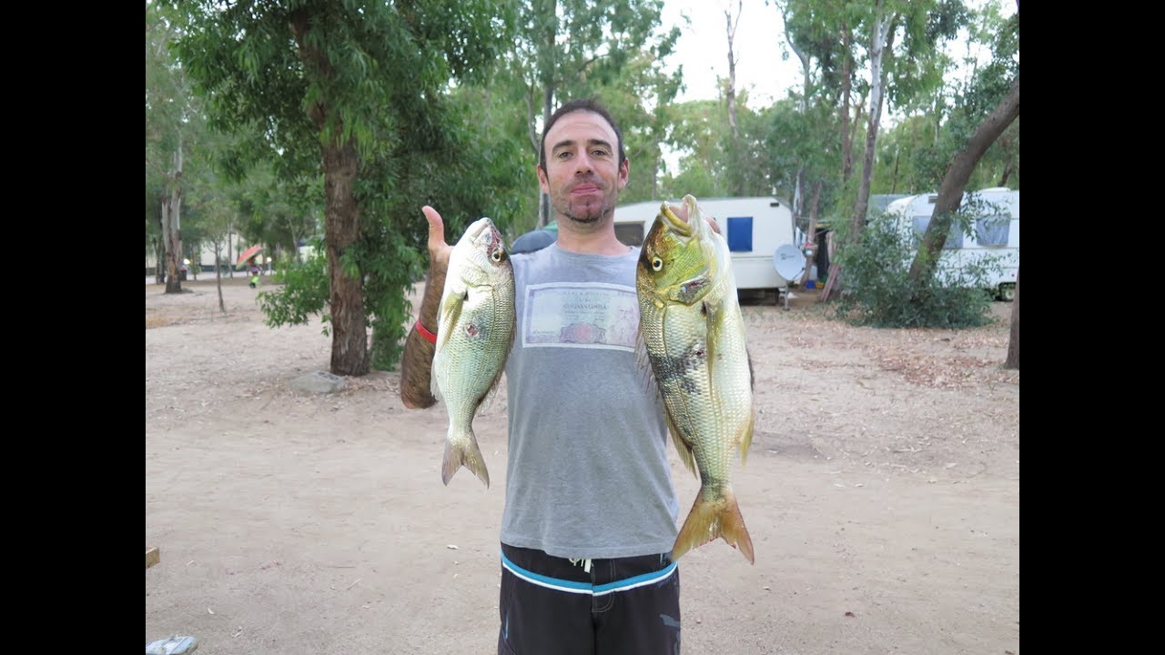 Pesca Sub: Dentici del 9-07-17 con saber 100