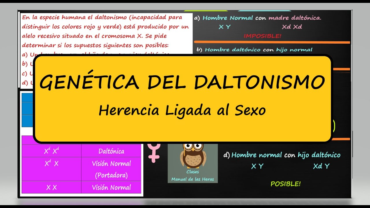 Genética del DALTONISMO. Genotipos y Fenotipos en Herencia Ligada al Sexo. (1)