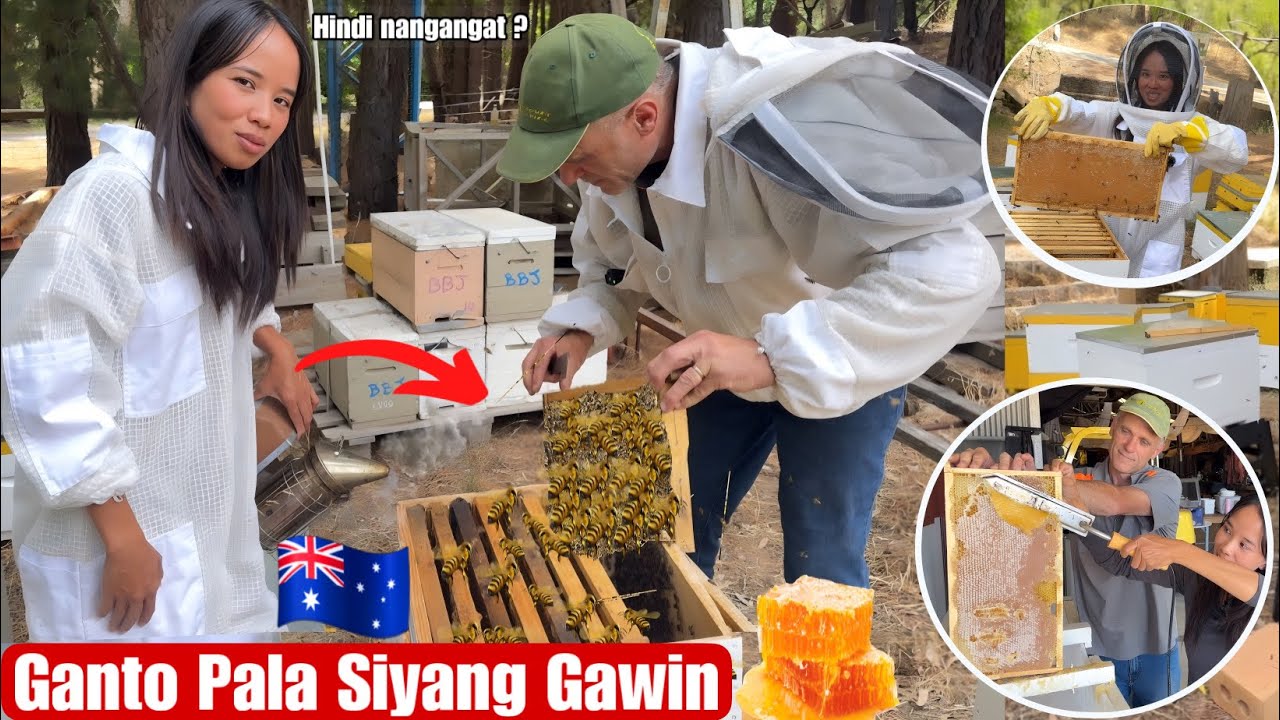 Harvesting Honey From Bee Hives 🐝