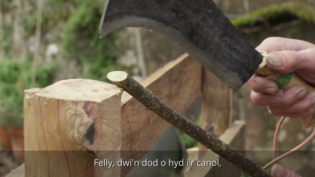 Hollti Pren / Cleaving Wood