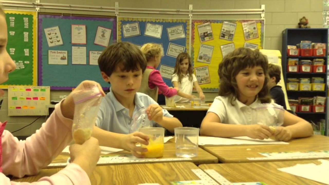 Third Grade Science: The Digestive System