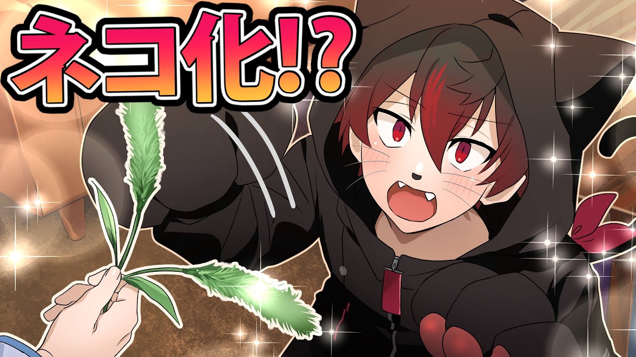 【アニメ】ネコ化したらどうなるのか？【漫画】