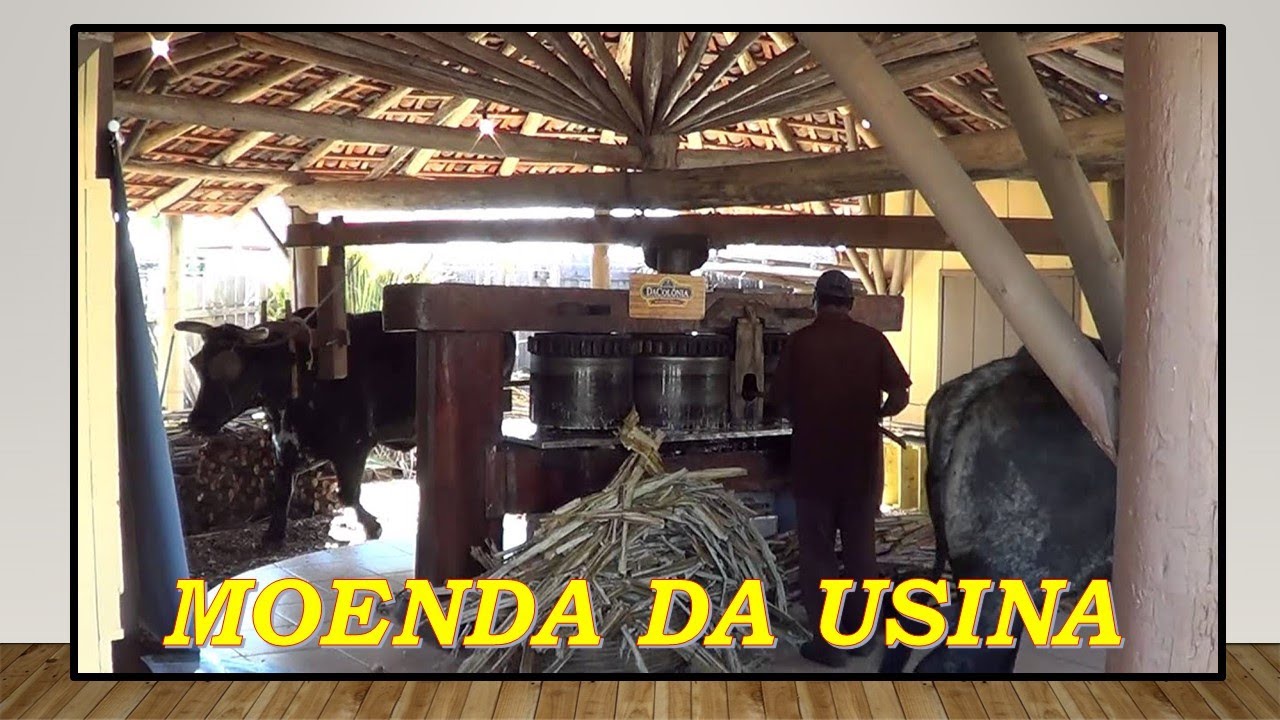 MOENDA DA USINA ***** JUNIOR VIOLA & BALTAZAR VIOLEIRO - Comp.Iron Lamanas / Baltazar Violeiro