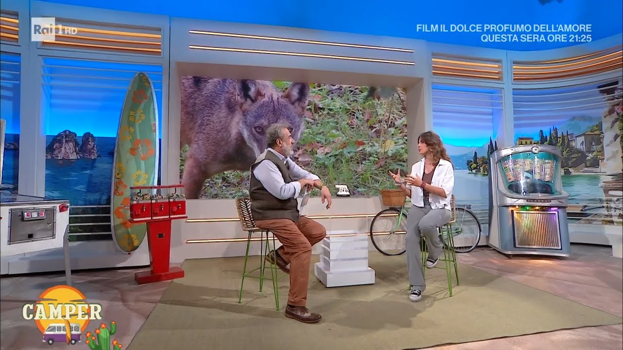 Il Lupo, un animale affascinante e leggendario - Camper 22/08/2023