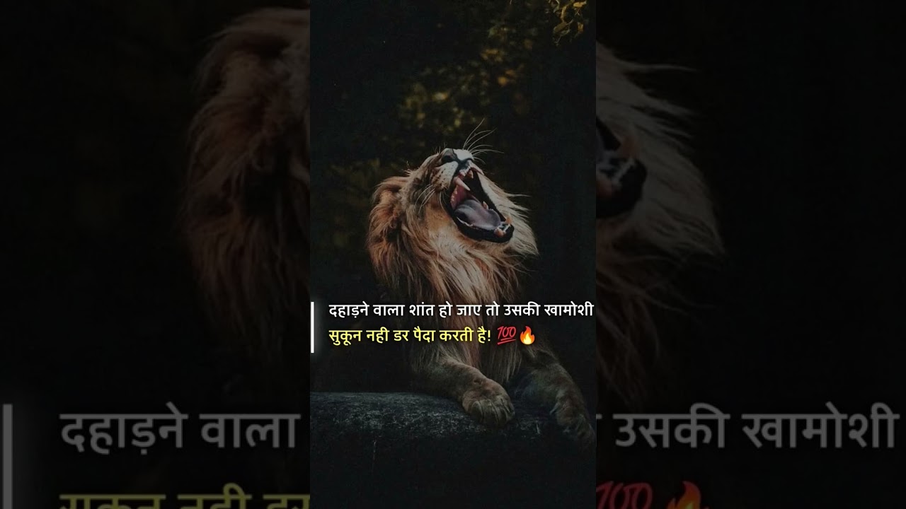 tiger story trending video 