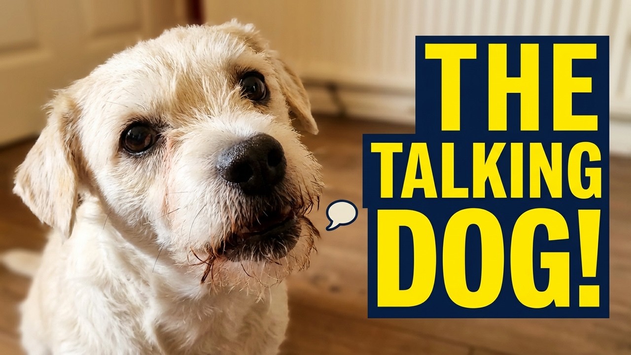 Дальнейшие приключения Дифы, говорящей собаки.