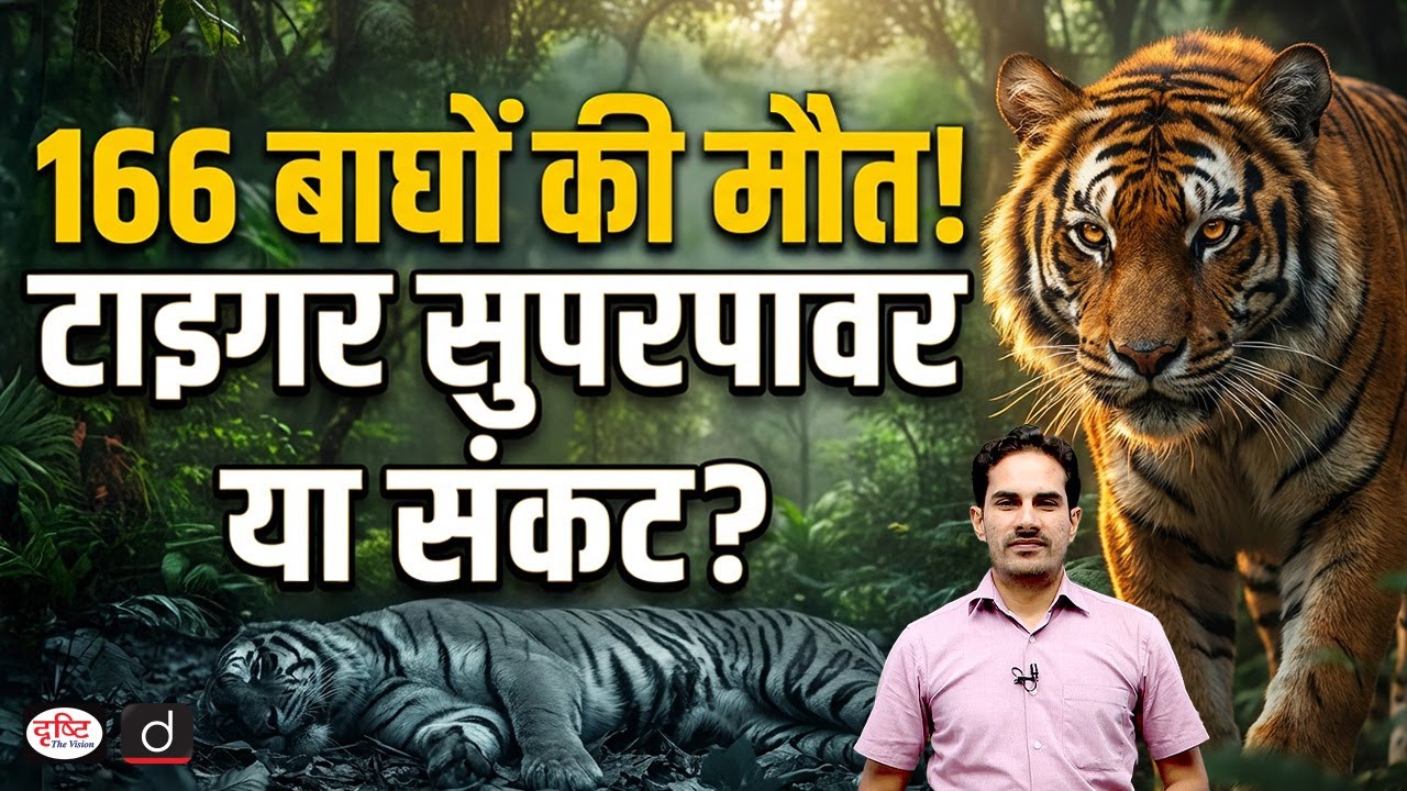 Why Are More Tigers Dying in India? | Current Affairs | Drishti IAS