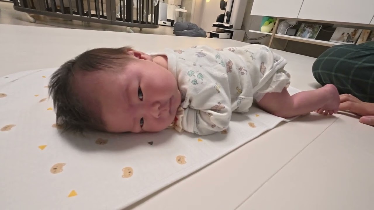 인생 25일차 2번째 터미 운동 풀영상