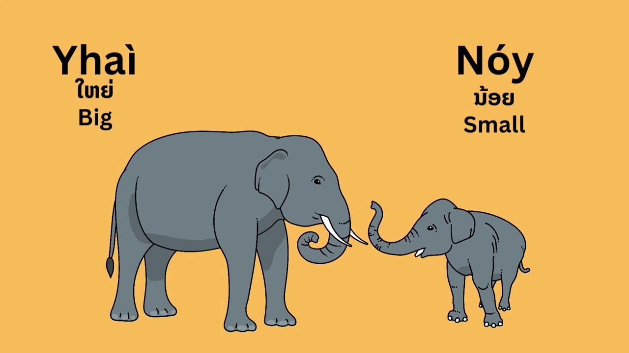 Learn Lao for Beginners: Opposite Words Vocabulary.
