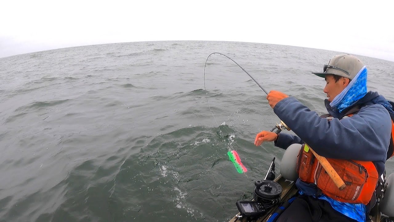 EVEN HARDER than Catching a Fish Myself (and more satisfying)