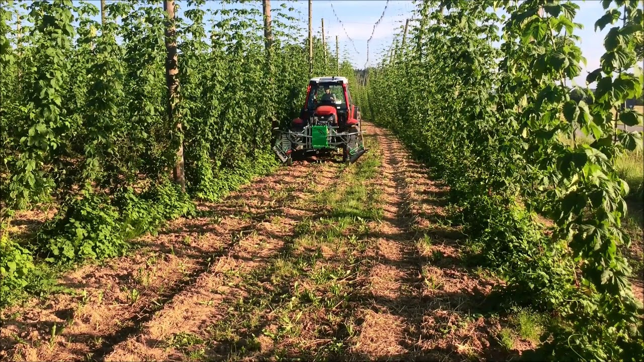 Hopfen Abflammger&auml;t im Praxiseinsatz