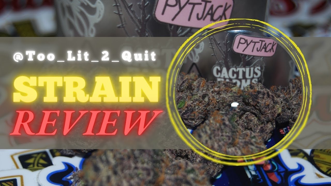 Pyt Jack Cactus Farms #Connected #Live Review #2023 #cannabisreview #weedreview #marijuanareview