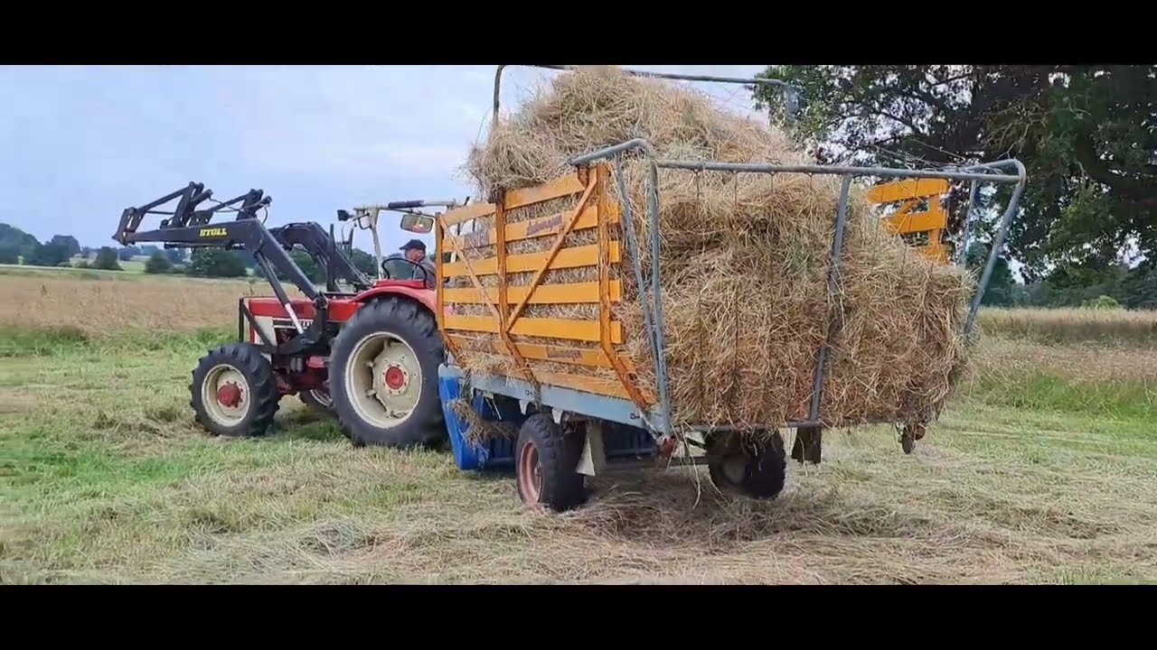 Heuernte 2024 mit IHC 724