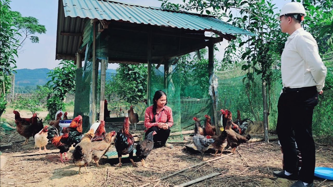 Not wanting Tien to do hard work, the engineer sent Tien to his livestock area to work. Ly Tu Tien