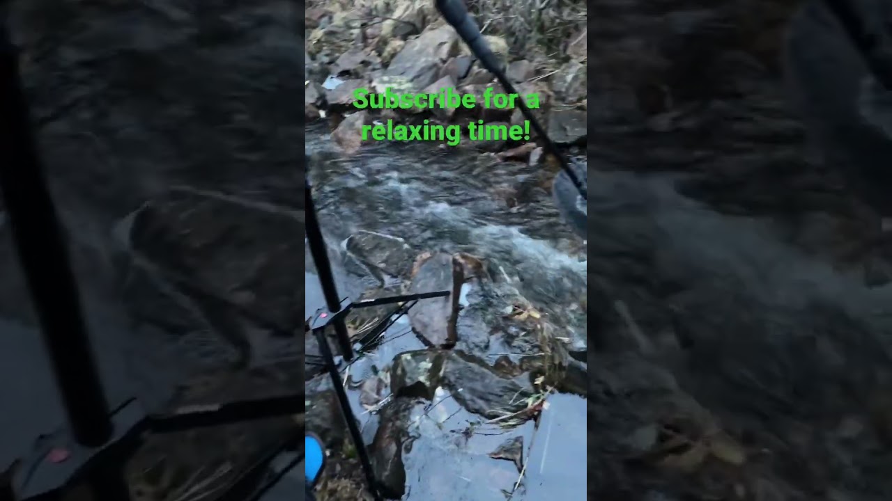 Behind the scenes when field recording! Subscribe! #fieldrecording #ambience #naturesounds #relaxing