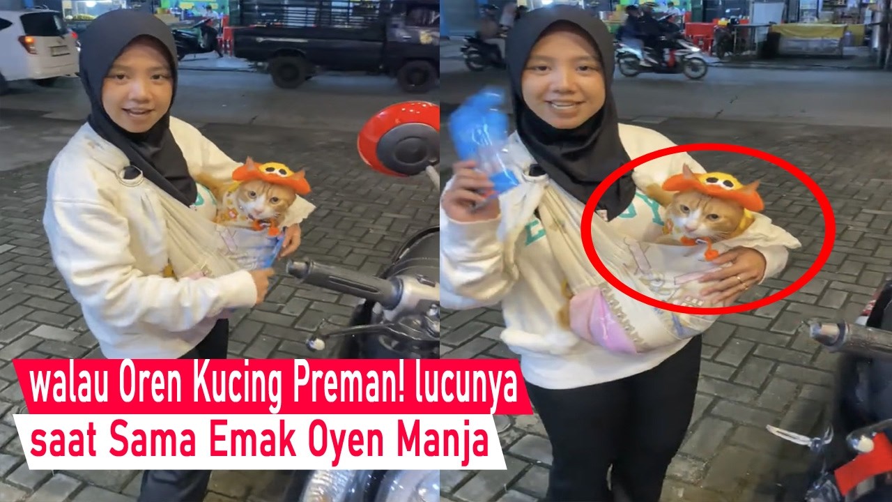 Kocak bikin Ngakak! walau Oyen Kucing Preman Galak, saat bareng Emak Oyen Malah ogoan/kompilasi Lucu
