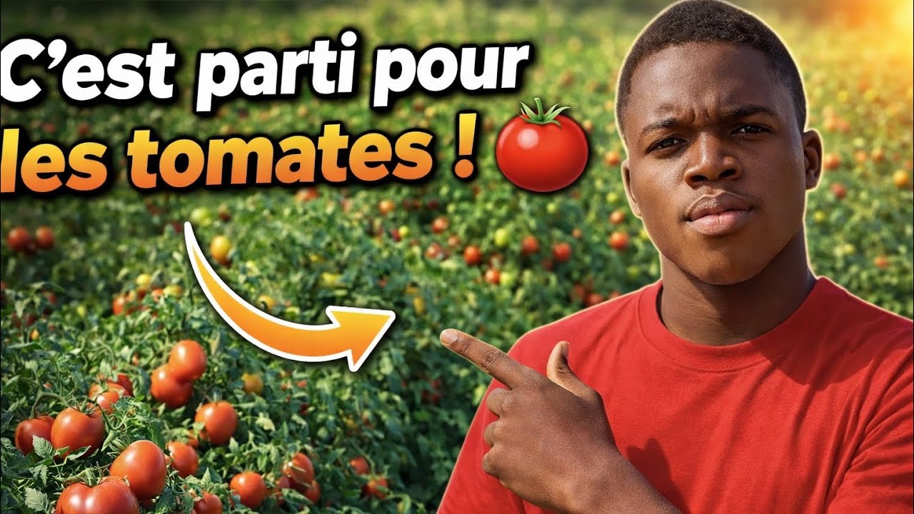Tout commence dans ce champ....🍅 Notre grand projet démarre !