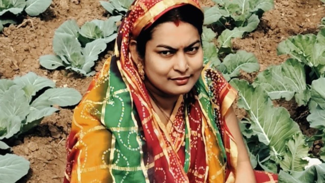 ବାଡ଼ି ପନିପରିବା😊😊😊😊