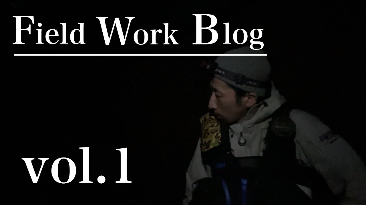 【blog】〜fieldwork〜厳寒期シーバスゲーム
