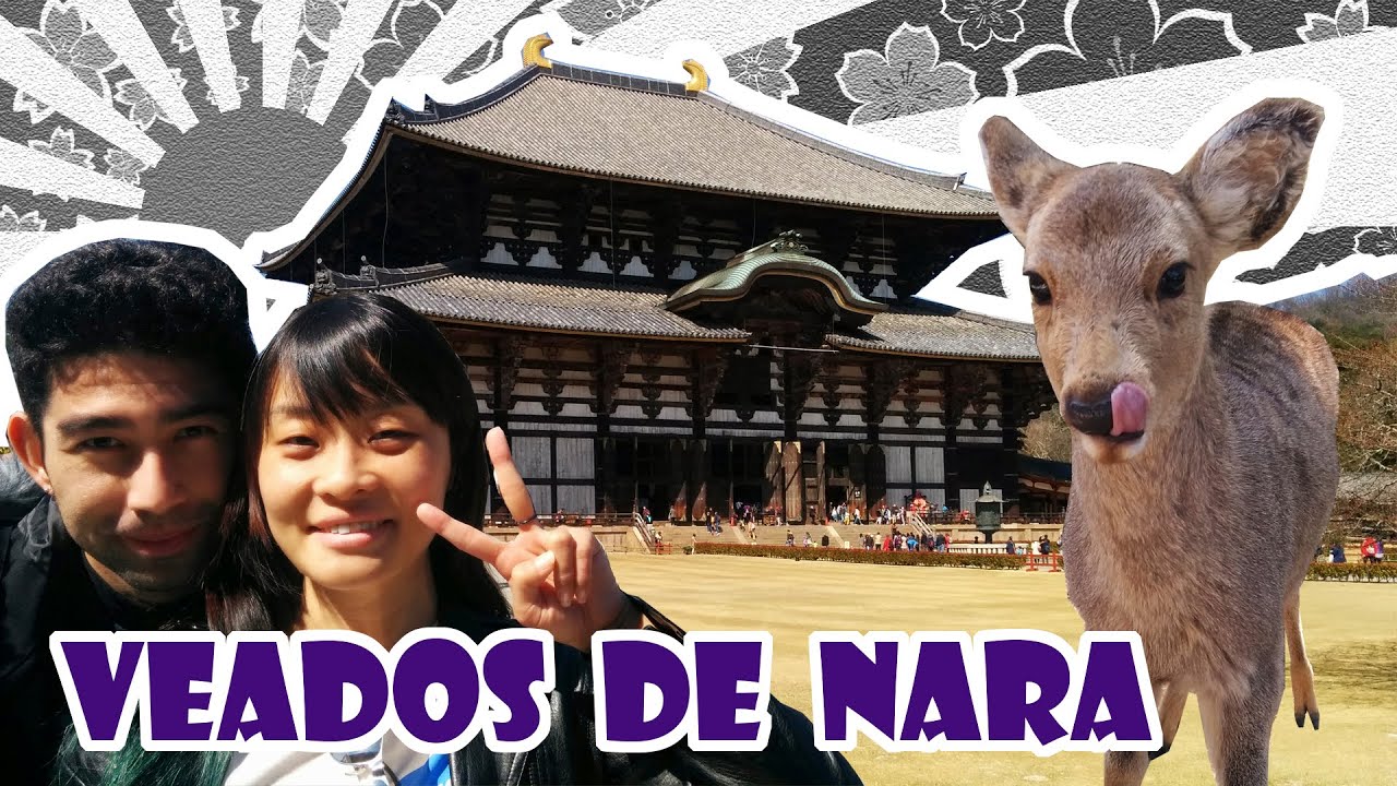 Parque de Nara e o Templo Tōdai-ji - Japão Nosso De Cada Dia