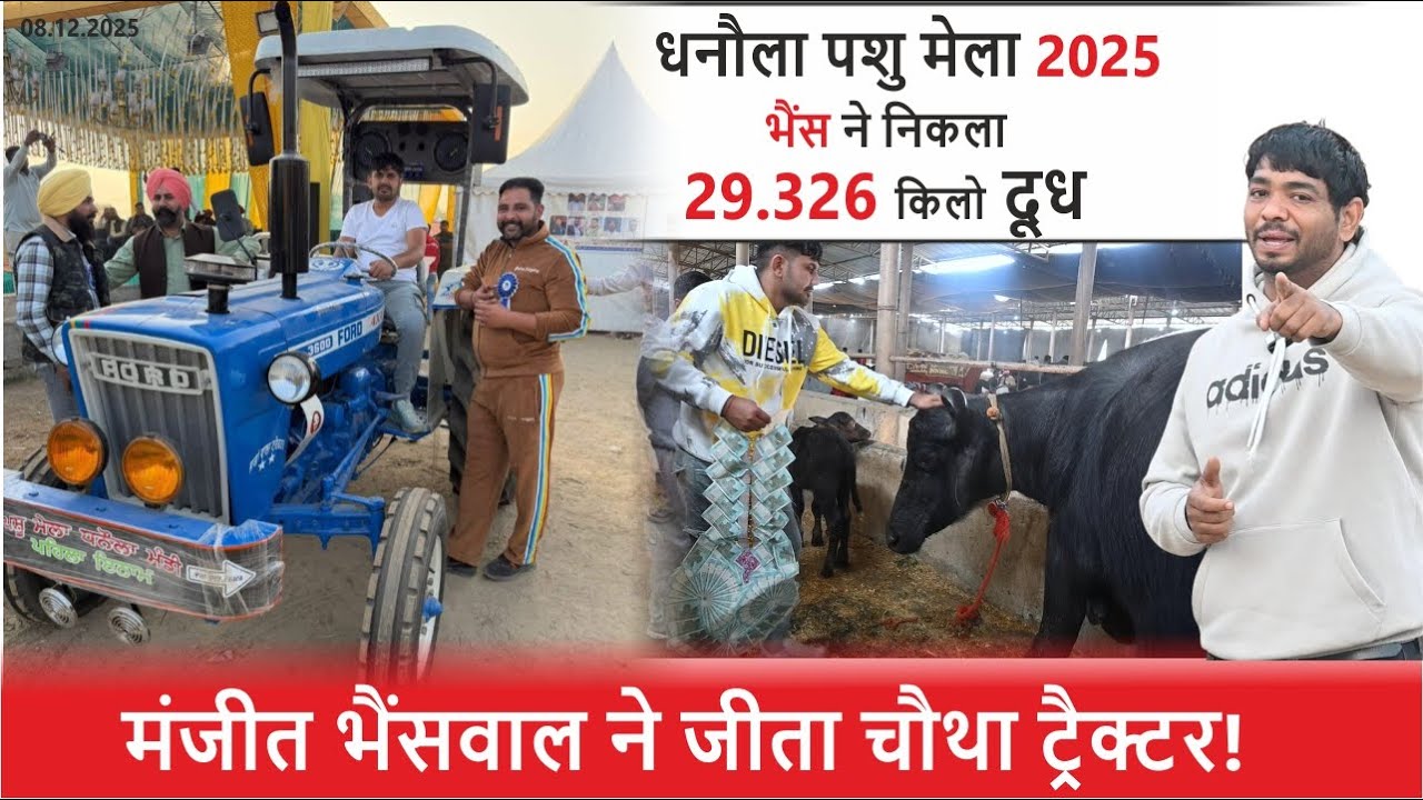 मंजीत भैंसवाल ने जीता चौथा ट्रैक्टर - धनौला पशु मेला 2025 भैंस ने निकला 29.326 किलो दूध