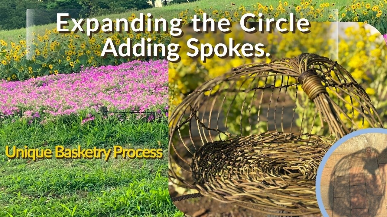 Expanding the Circle: Adding Spokes　Unique Basketry Process　#basket #craft #diy #handwoven #WIP