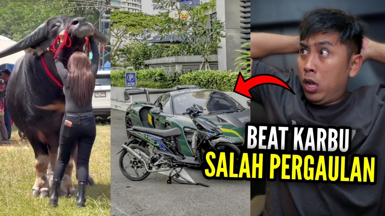MOTORKU BEAT KARBU TAPI MOBILKU BISA BELI KAMPUNG MU‼️..REACT MEME KOCAK