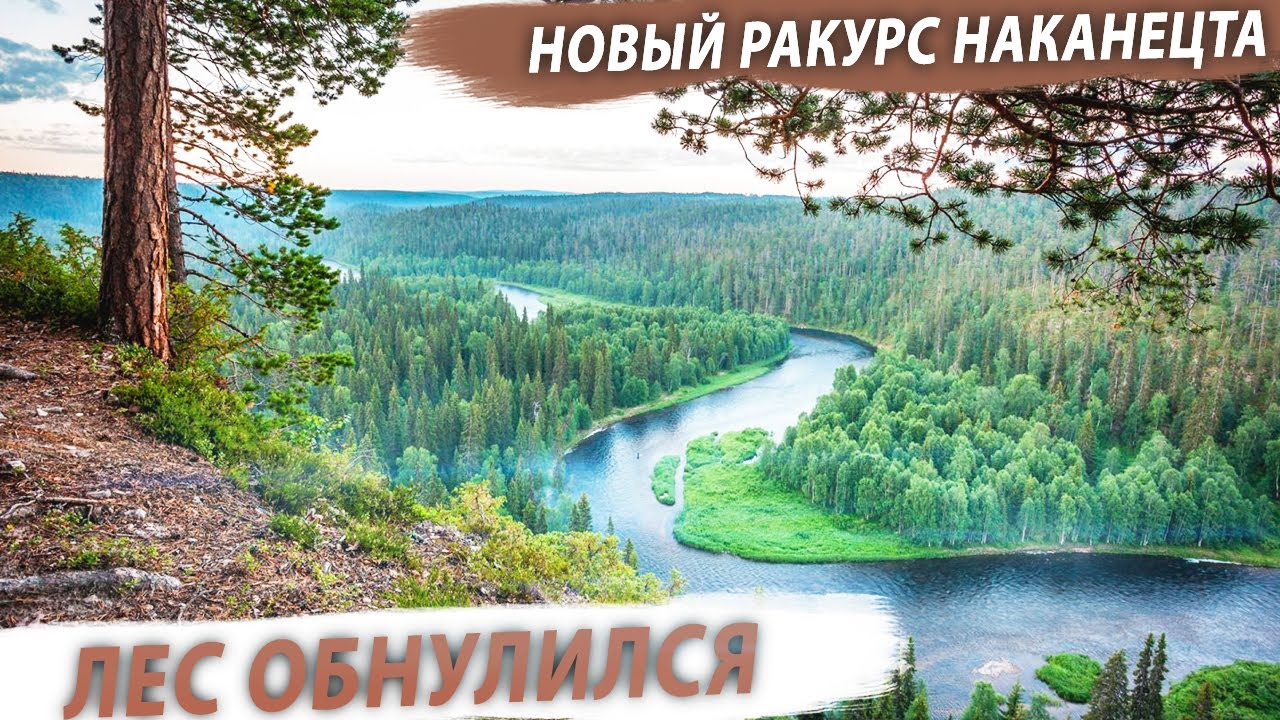 СМЕНА РАКУРСА. ЛЮДИ КОТОРЫЕ ВОССТАНАВЛИВАЮТ ЛЕС.