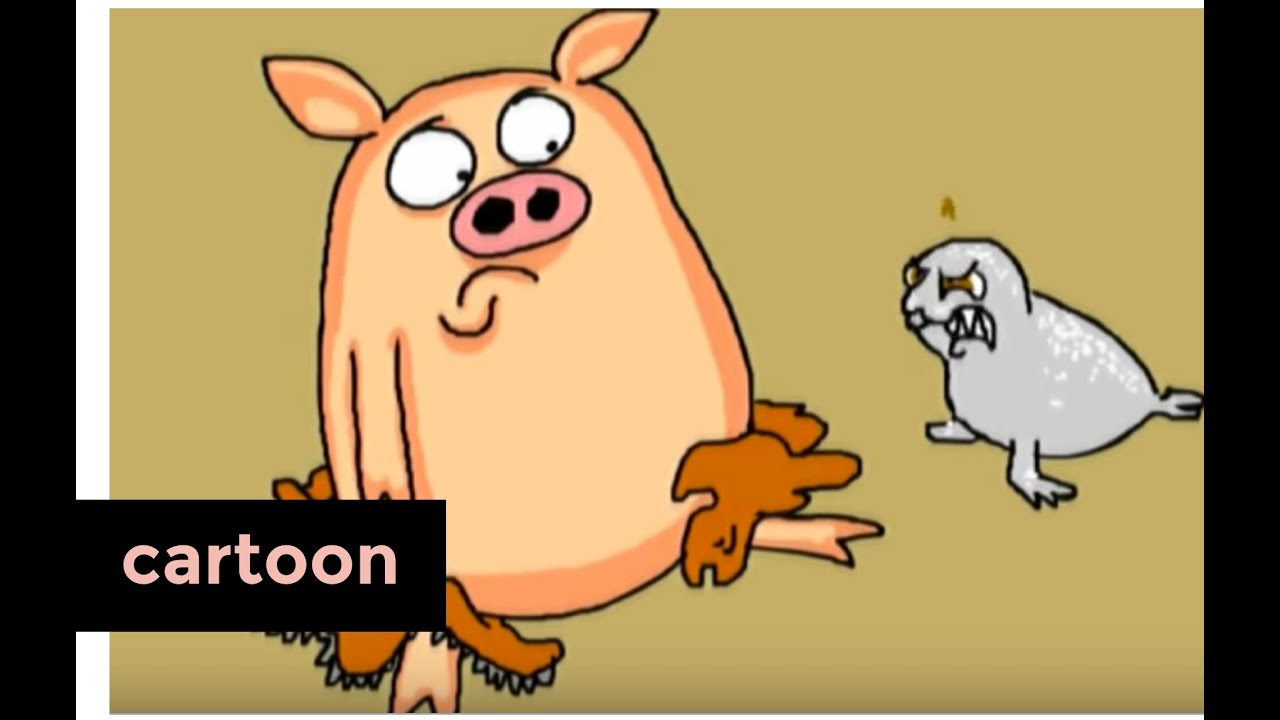 Varkentje Rund: Babyzeezoogdier | Het Klokhuis