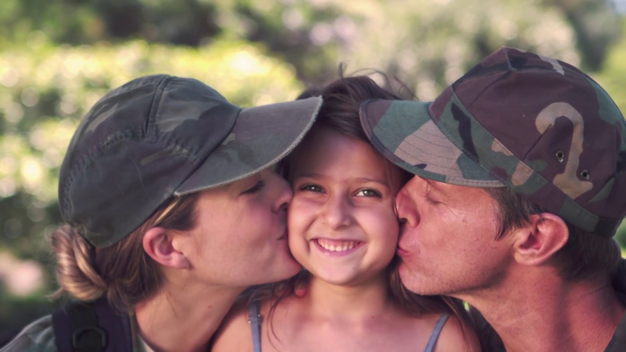 2017 Military Family Lifestyle Survey - Blue Star Families
