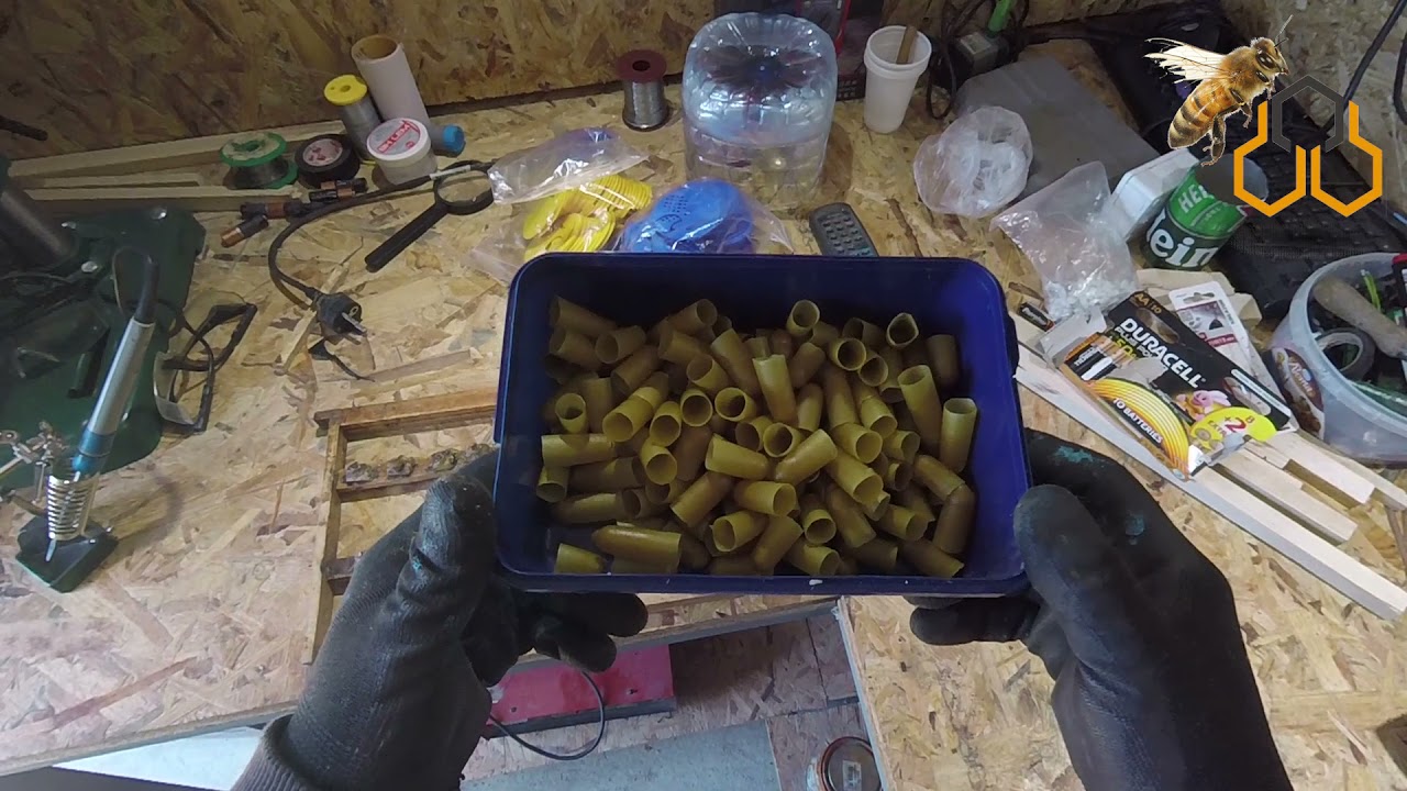 Rearing queens Part 1 | Doolittle method | Beekeeping | Apigard