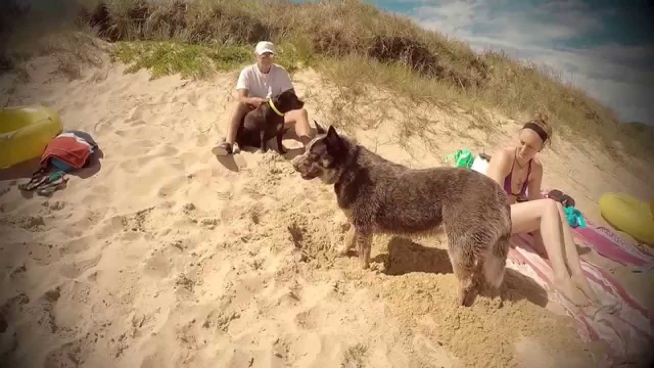 The adventures of Rosie - Beach fun