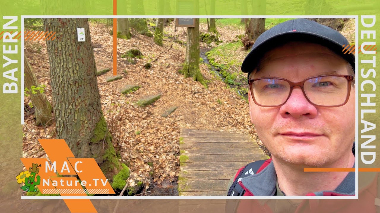Naturpark Steigerwald - Drei W&auml;lder Weg - Fr&uuml;hjahrsurlaub 2023 Tag 4