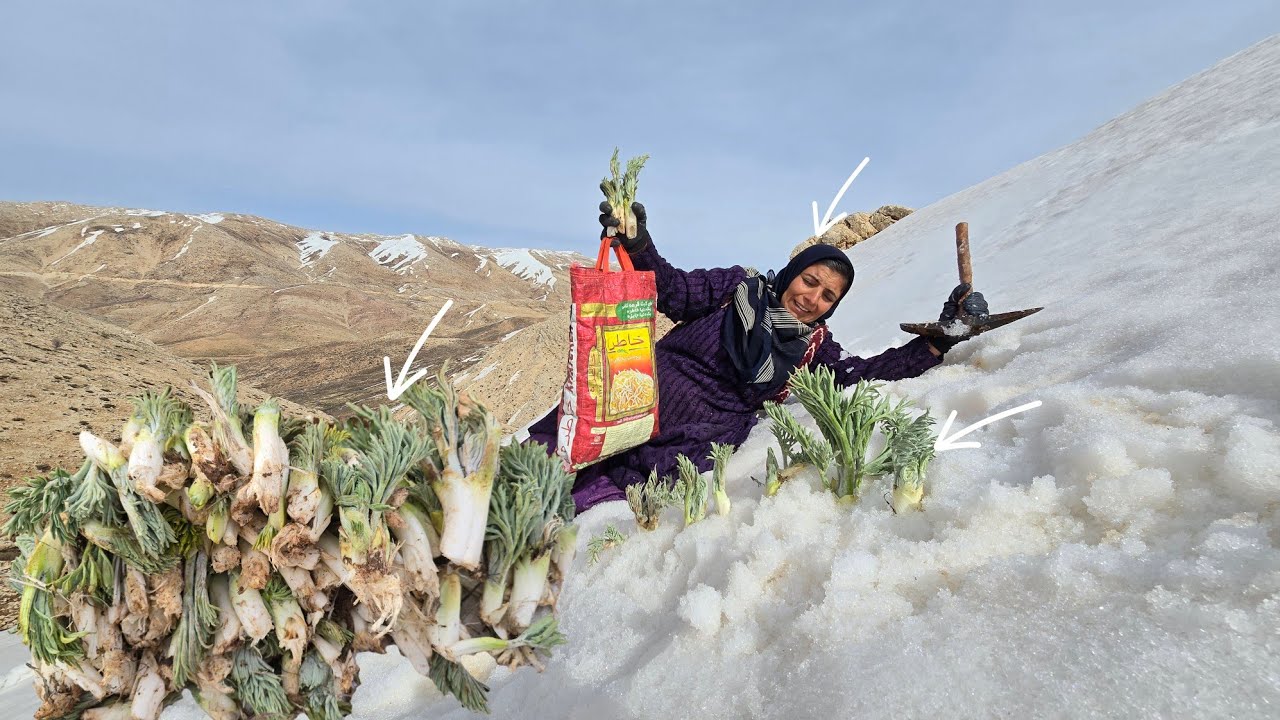 🌿 Collecting Wild Mountain Plants in the Snow | A Mother&rsquo;s Hard Life in the Zagros