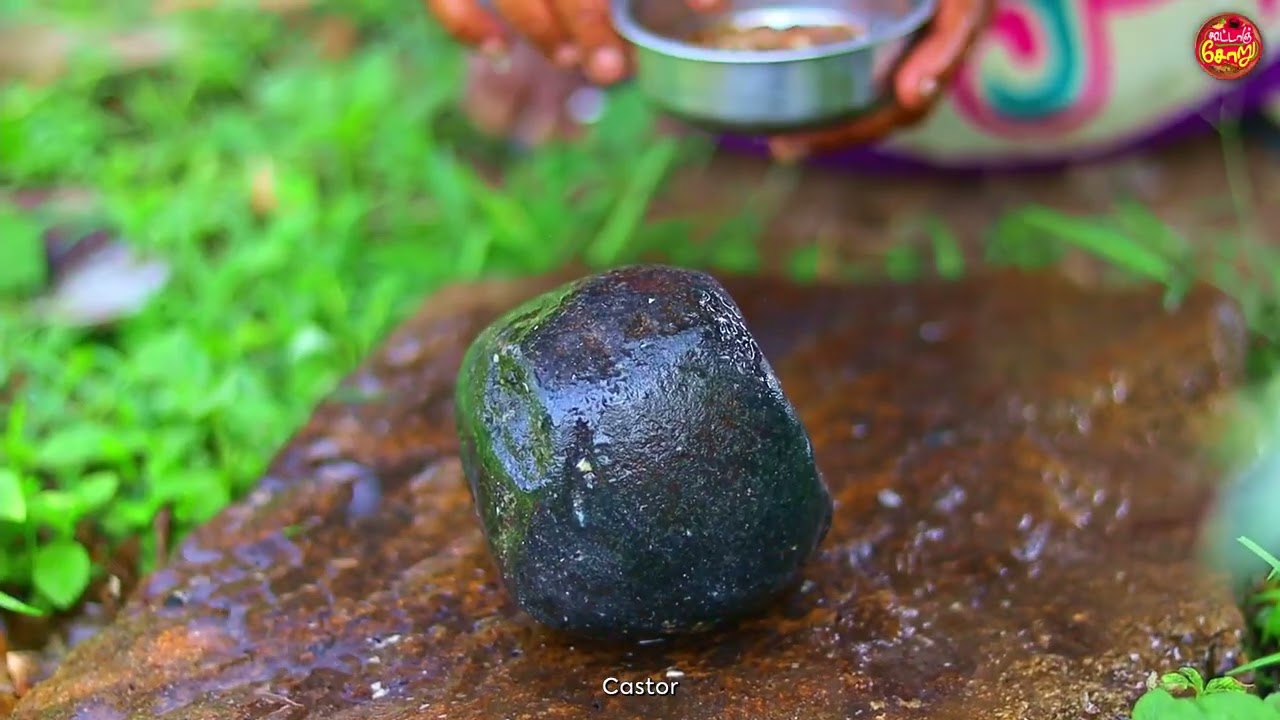 “Traditional Palm Jaggery Making 🔥 |Panang Karupatti Preparation|Village Method Kottan Soru Samayal”