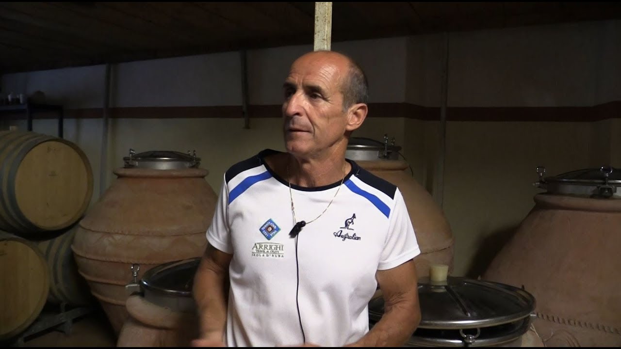 Vino in anfora