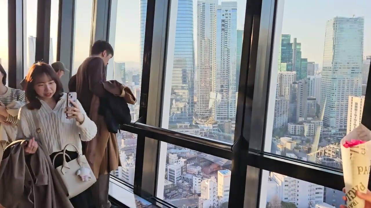 Vista da Tokyo Tower (333 metros)