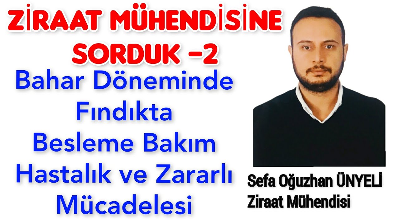 ZİRAAT MÜHENDİSİNE SORDUK - 2  Fındıkta Bahar Döneminde Gübreleme ve Zararlı Mücadelesi Nasıl Olmalı