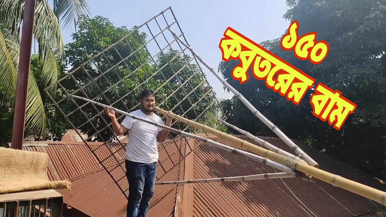 কবুতরের জন্য বিশাল বড় বাম তৈরি করলাম
