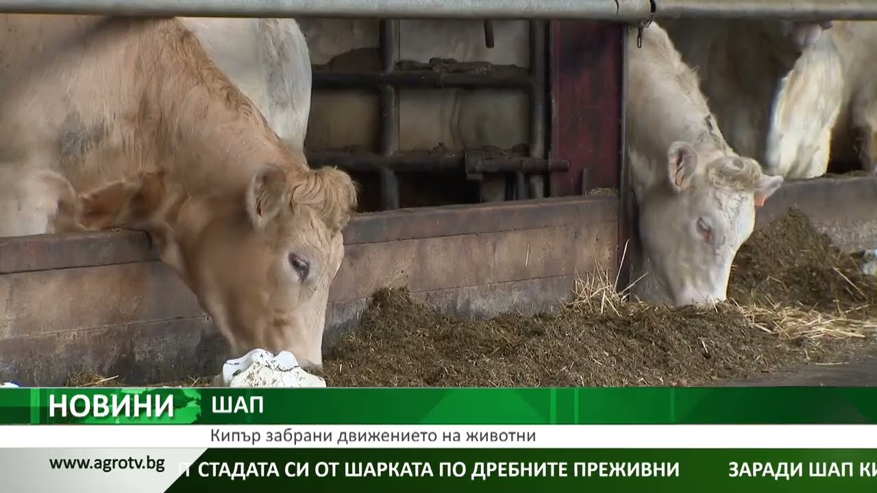 Централна емисия новини на АГРО ТВ – 24.02.2026 г.