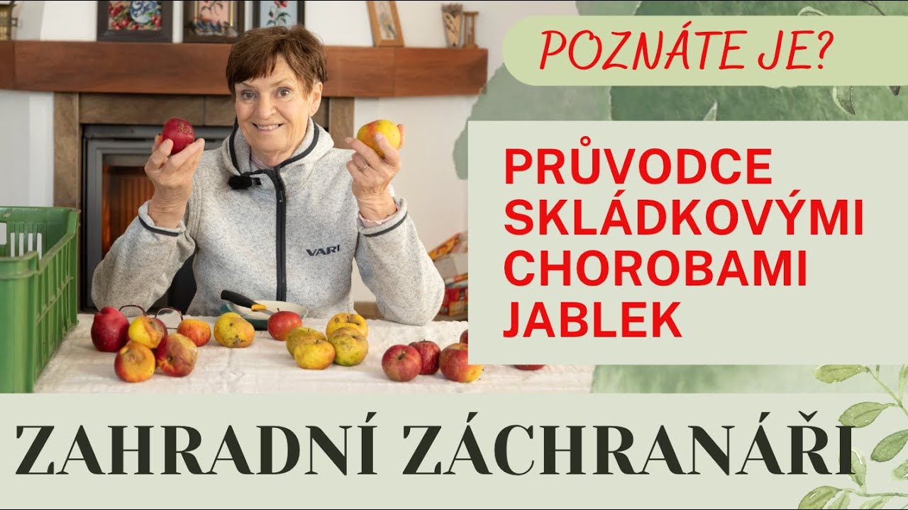 Skládkové choroby jablek - Poznáte je?