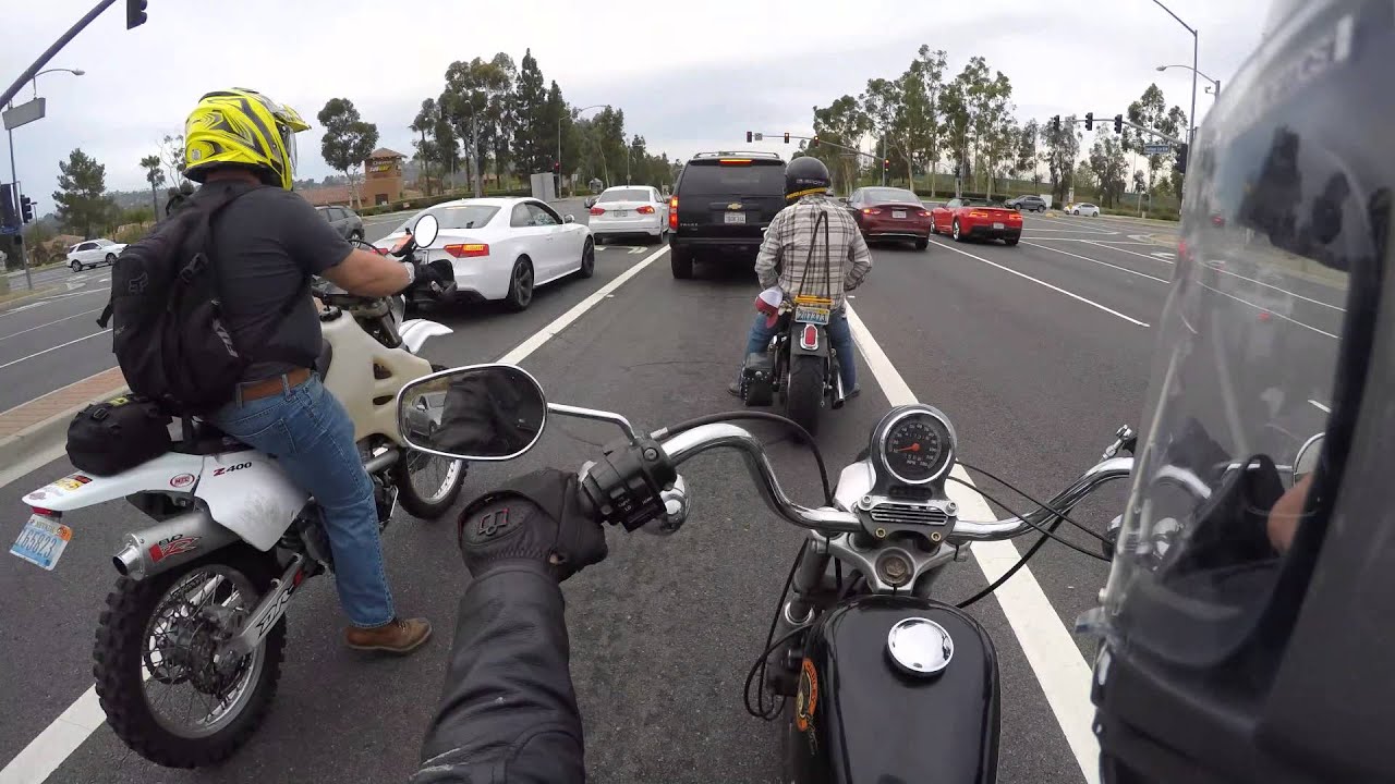 Born Free 7 Trip Video