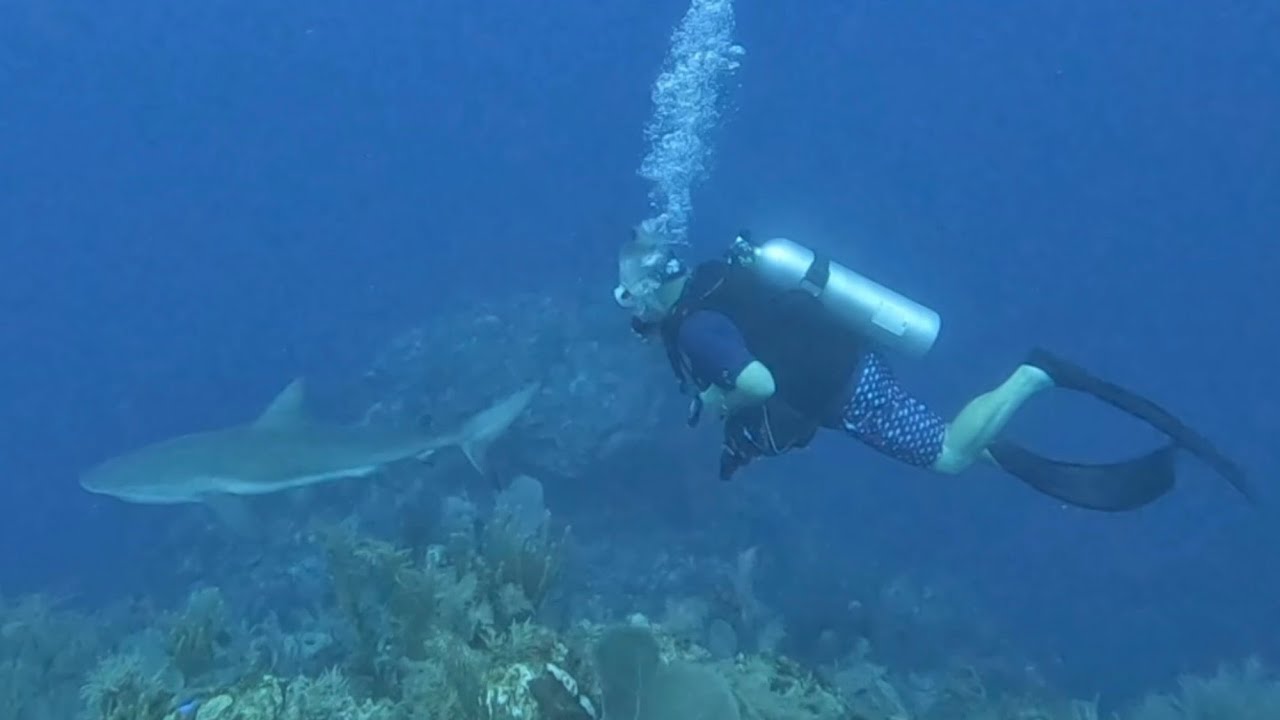 Cayman Aggressor Scuba April 2023