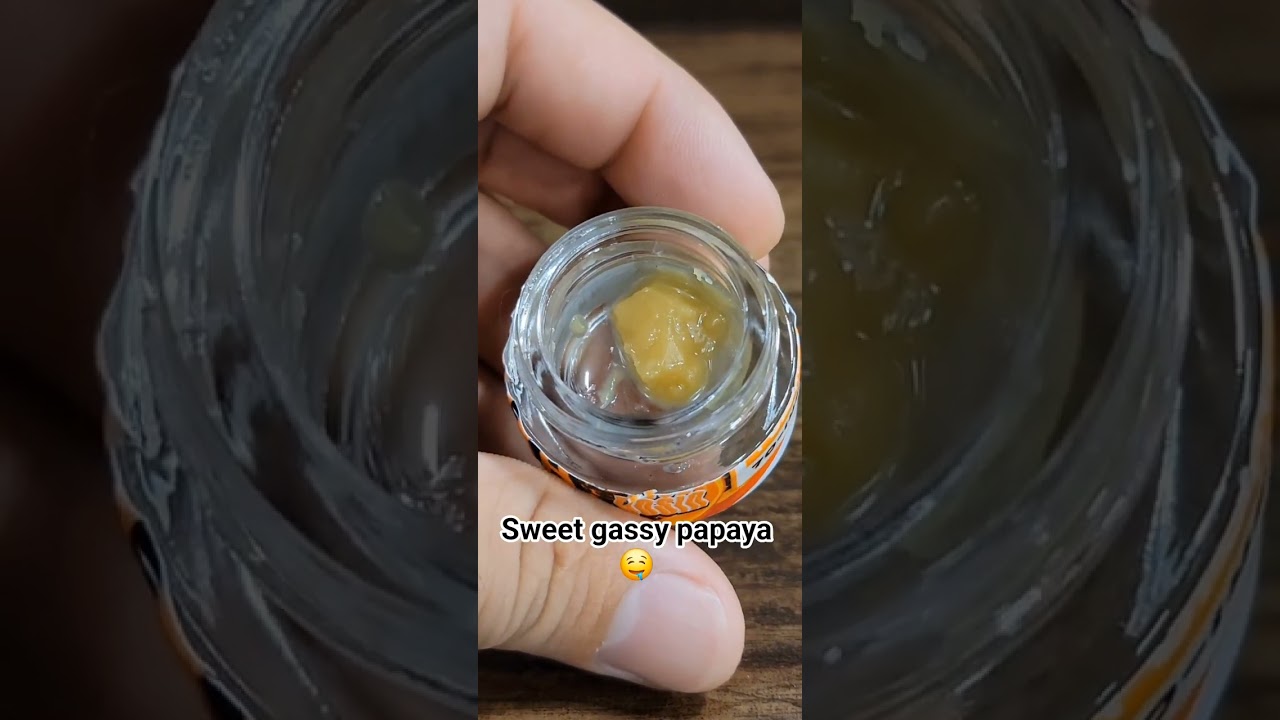 Tropaya | Shop Hello Mary (Live Rosin) ⛽️