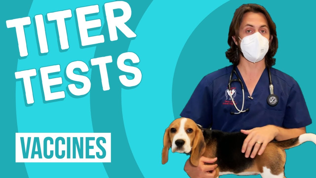 Titer Tests & Vaccines