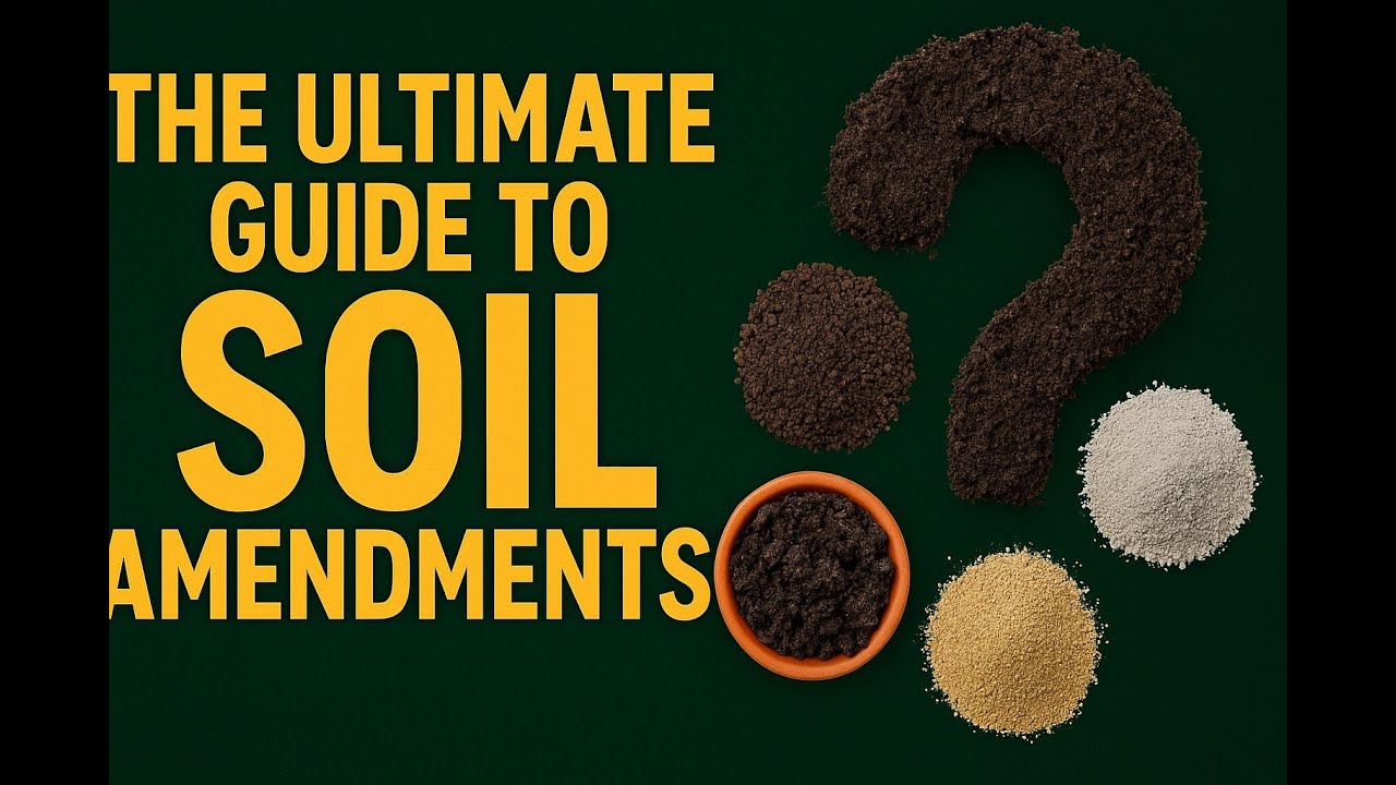 Stop Wasting Money: The Real Soil Amendments Growers Need
