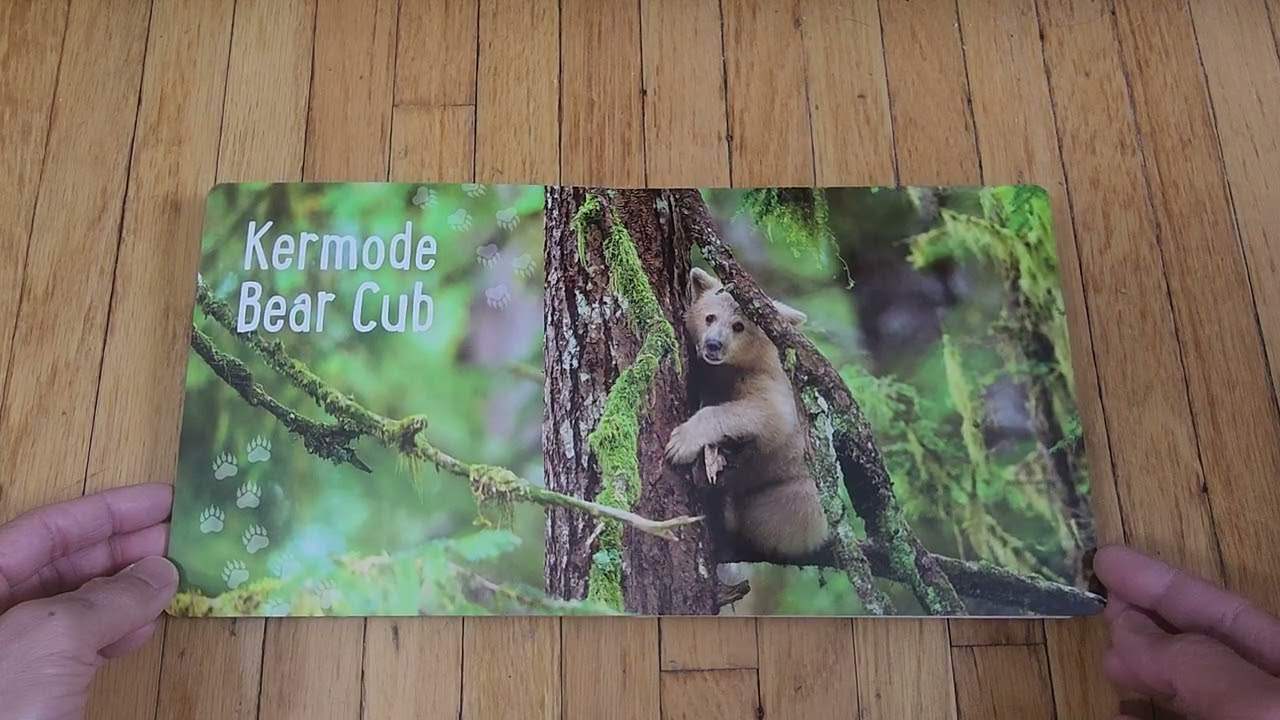 Babies of the Great Bear Rainforest - Ian McAllister